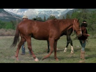 wild mustang 1976 - adventure (dubbed)